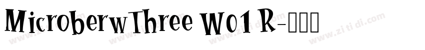 MicroberwThree W01 R字体转换